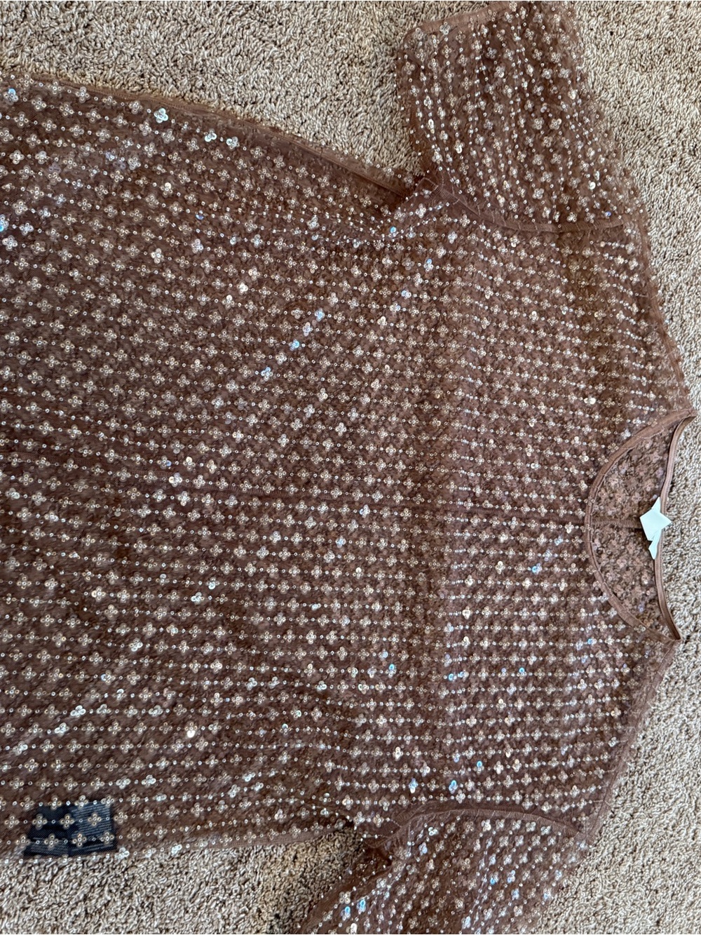 H&M Brown Sheer Sequin-Embellished Women's Top